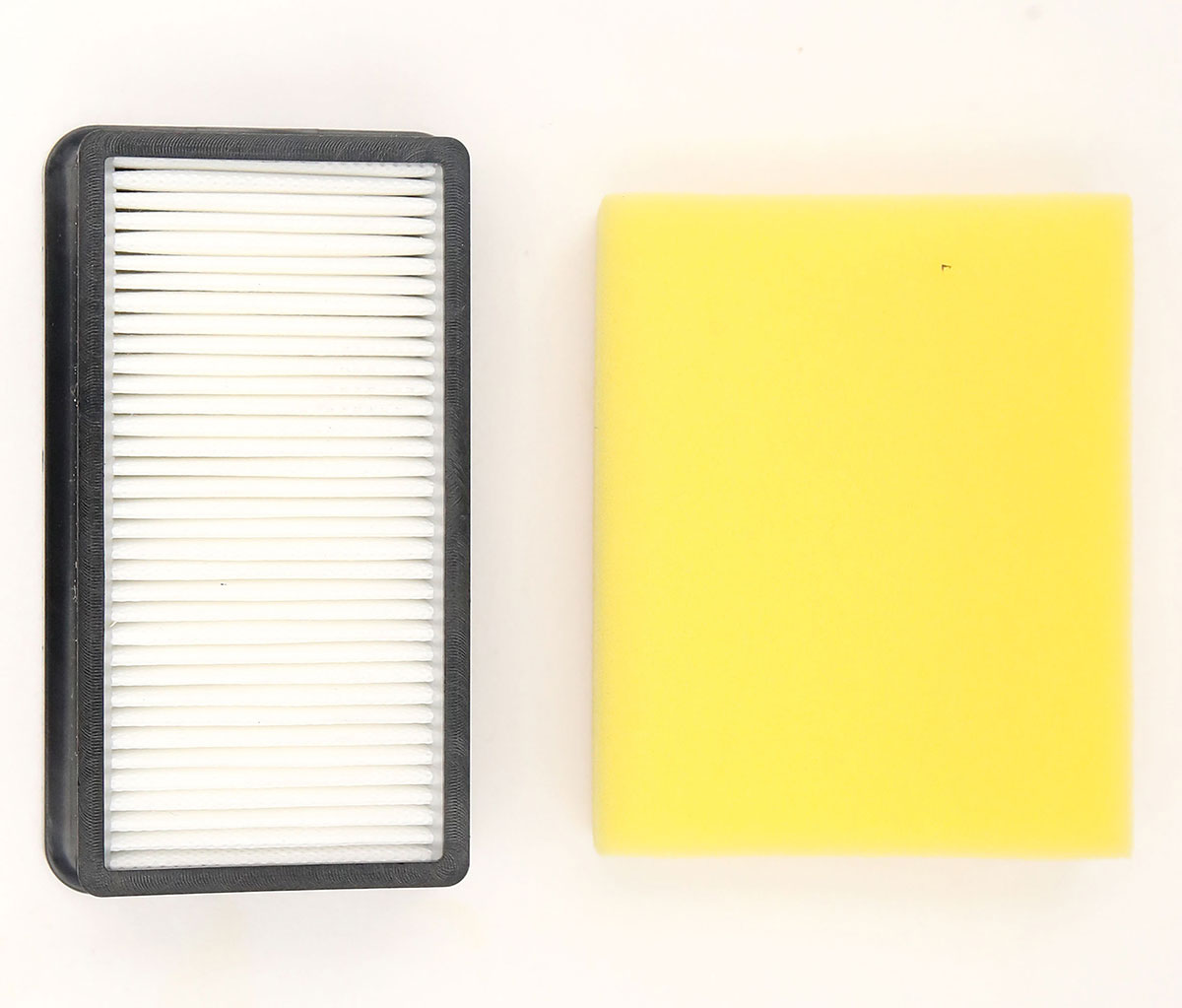 BISSELL CLEANVIEW FILTER SET, 2/Pk (1 PRE, & 1 POST HEPA MOTOR FILTER) CLEAN OBSESSED CF162